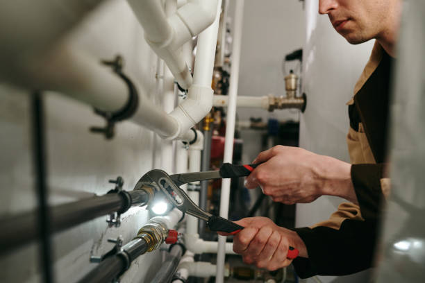 Best Local Plumber Services  in Chase City, VA